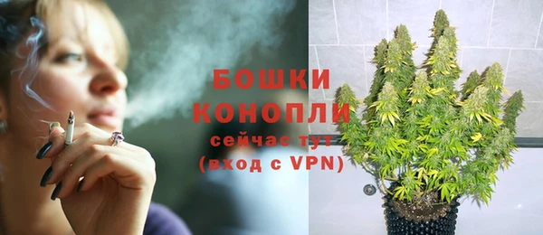 стафф Протвино