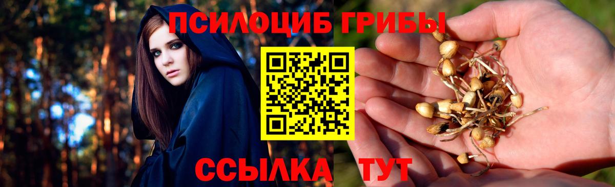 Псилоцибиновые грибы Psilocybine cubensis  Вход с VPN  Пятигорск 